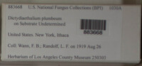 Image Associated With the Occurence